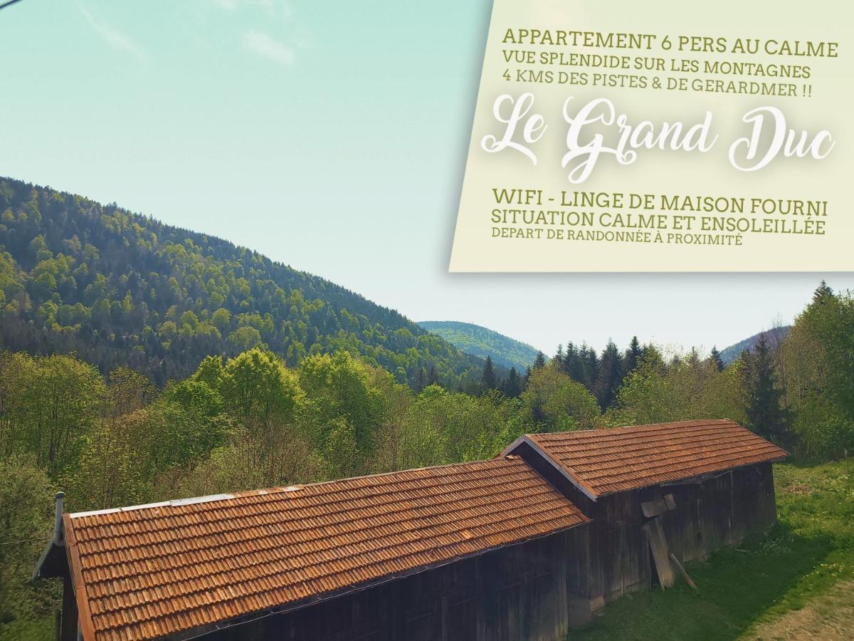 ⁂⁂ Le Grand Duc Appartement Cledicihome / Magnifique Vue Sur Les Montagnes / 4 Kms De Gerardmer ! ⁂⁂ Rochesson Екстериор снимка