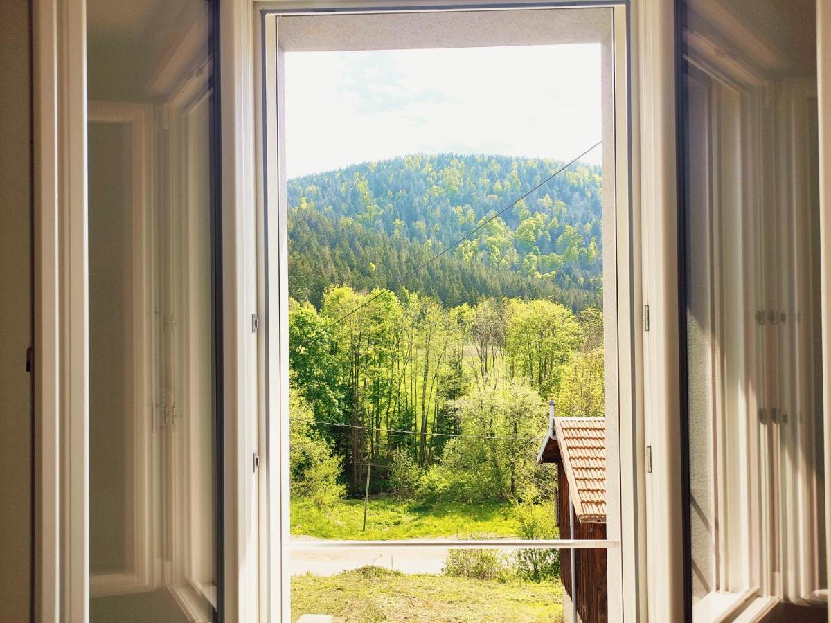 ⁂⁂ Le Grand Duc Appartement Cledicihome / Magnifique Vue Sur Les Montagnes / 4 Kms De Gerardmer ! ⁂⁂ Rochesson Екстериор снимка