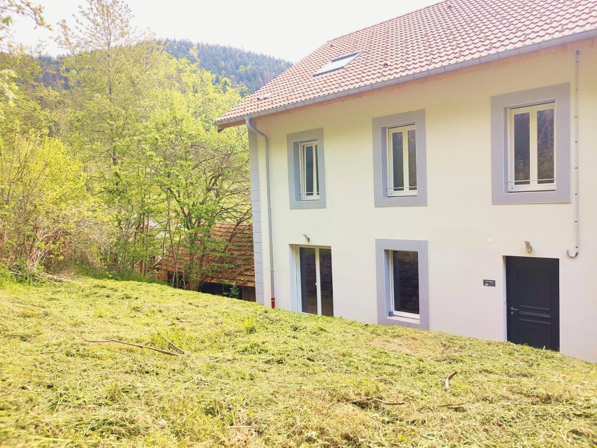 ⁂⁂ Le Grand Duc Appartement Cledicihome / Magnifique Vue Sur Les Montagnes / 4 Kms De Gerardmer ! ⁂⁂ Rochesson Екстериор снимка